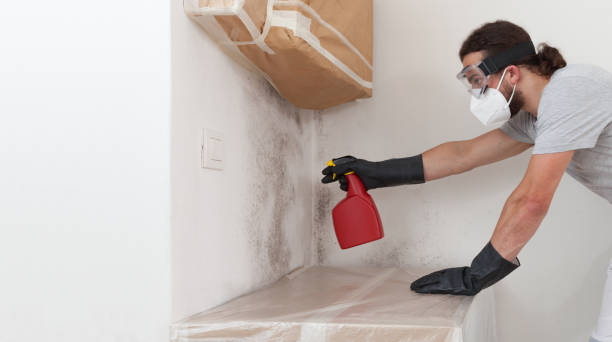 Professional Bathroom Mold Removal technician working in Schiller Park, IL