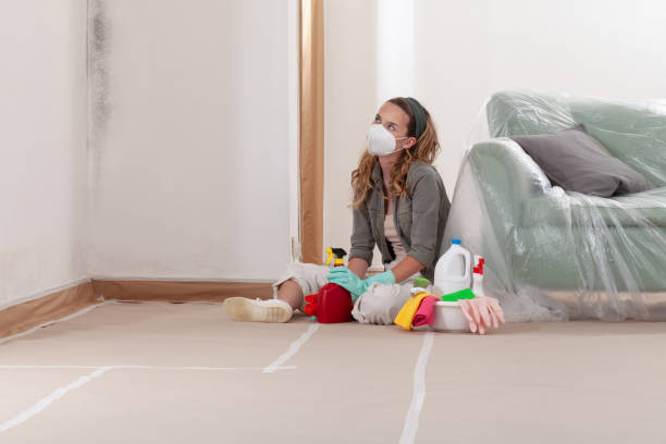 Reliable Bathroom Mold Removal contractor in Schiller Park, IL by Mold Remediation HQ